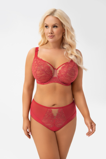 gorsenia Трусы 008F FLAVIA слипы