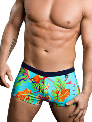 hom Paradisiaque 40-0934-00PF плавки-хипсы
