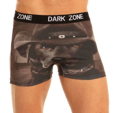 Darkzone Трусы мужские боксеры с 3D принтом DZN1020