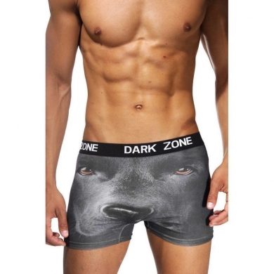Darkzone Трусы мужские боксеры с 3D принтом DZN1012